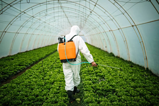 Best Residential Pest Control  in Emigsville, PA