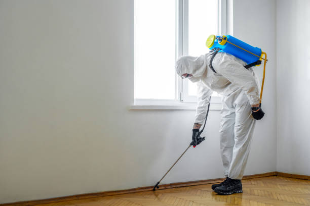 Best Mosquito Control Services  in Emigsville, PA