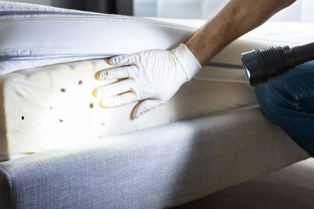 Best Commercial Pest Control Services  in Emigsville, PA