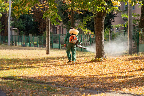 Best Wasp Removal Services  in Emigsville, PA