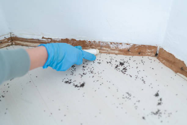 Pest Control Cost in Emigsville, PA