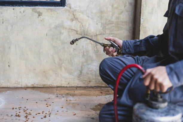 Best Exterminator Services  in Emigsville, PA